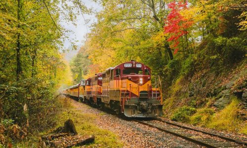 Relaxed, reinvigorated after Smoky Mountains trip
