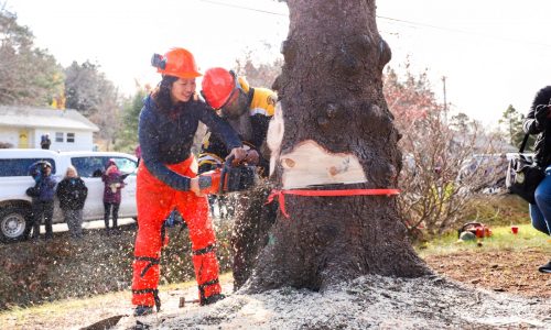 Oh Canada: Boston Mayor Wu’s family holiday trip to Nova Scotia cost taxpayers $5K