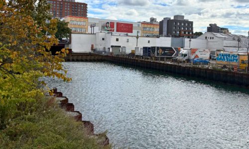 Community-Led Project Looks to Grow Gowanus Canal’s Mussel Population
