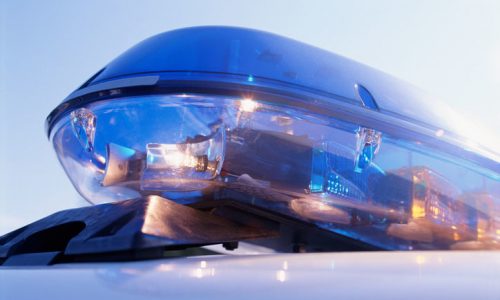 Falling tree kills northeastern Minnesota man clearing snow after storm