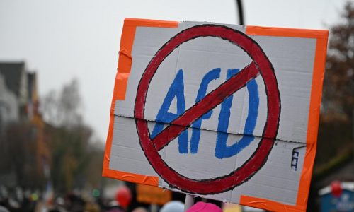 Miles se manifiestan mientras el partido de ultraderecha de Alemania crea nueva organización juvenil