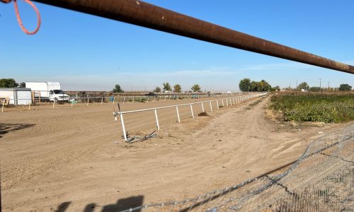 Juez federal ordena liberar a 16 migrantes detenidos en Idaho por violaciones del debido proceso