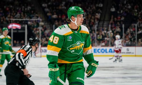 First opportunity for Daemon Hunt in his return to the Wild