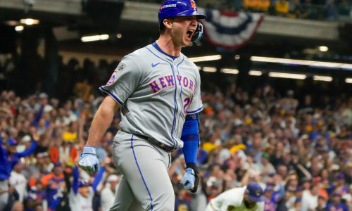 Pete Alonso or Kyle Schwarber: Which slugger is a better fit for Red Sox?