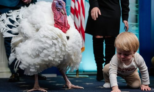 Howie Carr: Thankful for an end to Dem kleptocracy