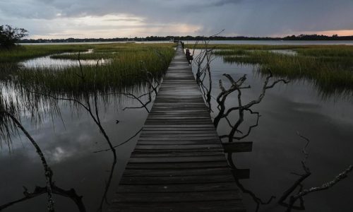 EPA moves to limit scope of clean water law to reduce amount of wetlands it covers