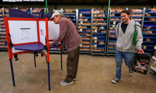 Economic worries were at the top of voters’ minds in the 2025 elections, poll finds