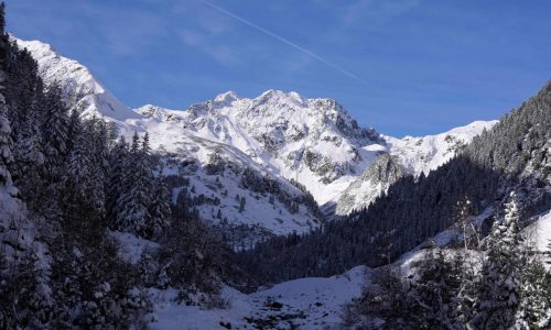 Realizan búsqueda tras avalancha en glaciar de Austria que sepultó a esquiadores y snowboarders