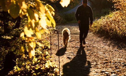 Boston Weather: Periods of rain, windy days to kick off November