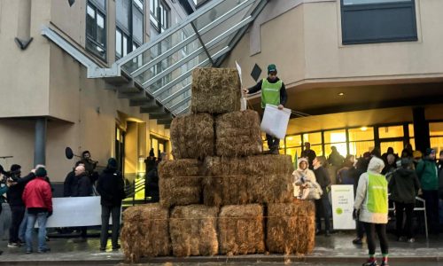Agricultor belga demanda a gigante energético francés por daños causados por el cambio climático