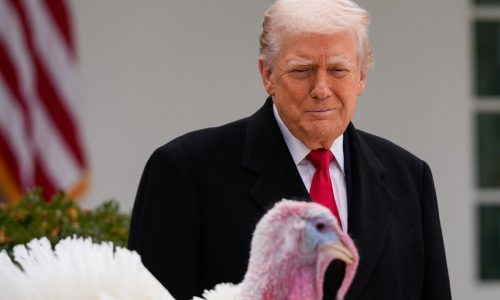 Editorial: Political turkeys in DC don’t deserve to be pardoned