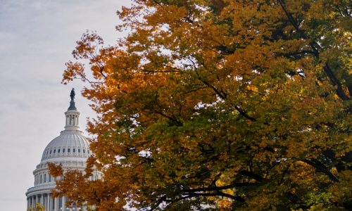 Nassour: DC’s games throw Mass. under the bus