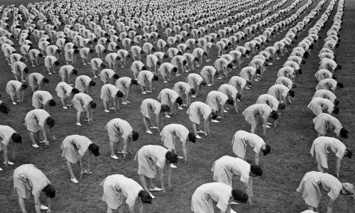 F.D. Flam: How women could be the key to unlocking longer life