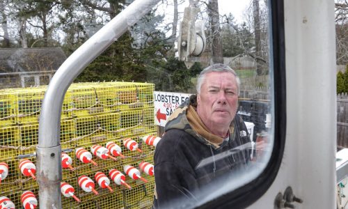 Cape Cod lobsterman scores win in fight against local Massachusetts red tape: ‘This is politics’