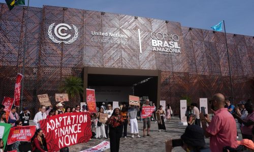 Acciones colectivas: cómo los ciudadanos pueden influir en el cambio climático