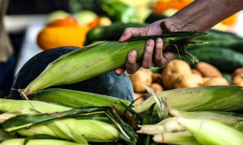 The most climate-friendly groceries might not be in the supermarket