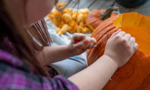 Don’t toss your Halloween pumpkin — bake, compost or feed it to farm animals instead