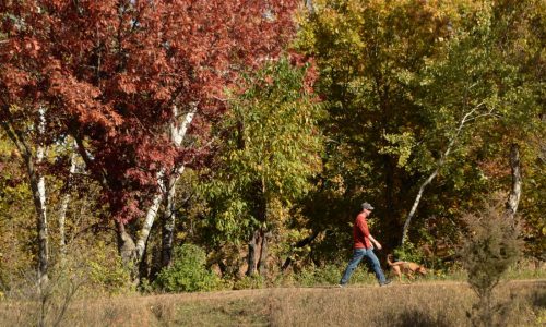 MN State Parks, Washington County Parks offer free entry Friday