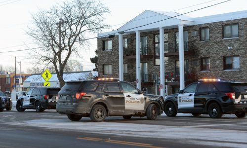 Man admits to fatally stabbing St. Paul woman, believing she was his mother