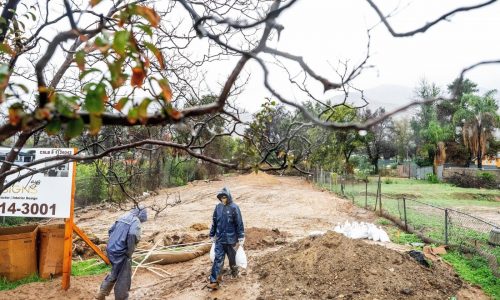 FEMA acting chief David Richardson departs after 6 months on the job, officials say