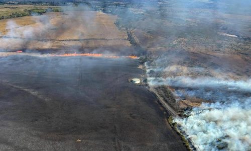 States sue Trump administration over restrictions put on FEMA emergency grants