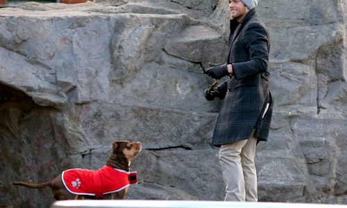 Tom Brady reveals new dog Junie is a clone of beloved Lua, who died in 2023