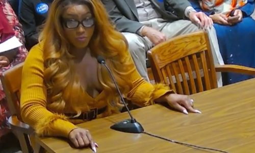 Boston City Council backs LGBTQ community amid blowback to governor’s trans woman appointment