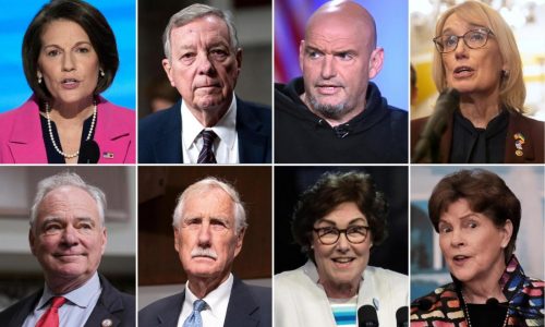 These 8 Democrats voted with Republicans on the government shutdown deal. Here’s how they explain it