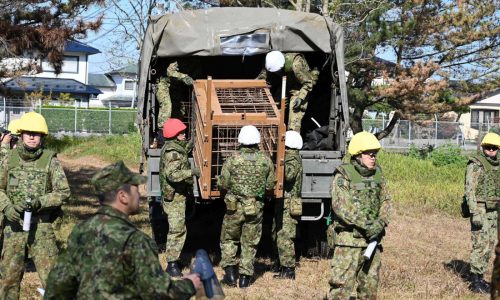 Japan deploys the military to counter a surge in bear attacks