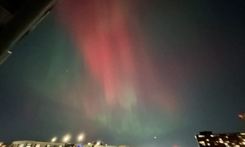 Joe Soucheray: Not exactly sure what the question is, but northern lights is the answer