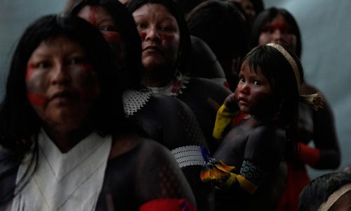 Arranca la COP30 en Brasil y más fotos de la semana en América Latina y el Caribe