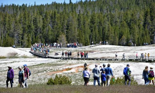 Higher fees for foreigners visiting US national parks stokes tourism concerns