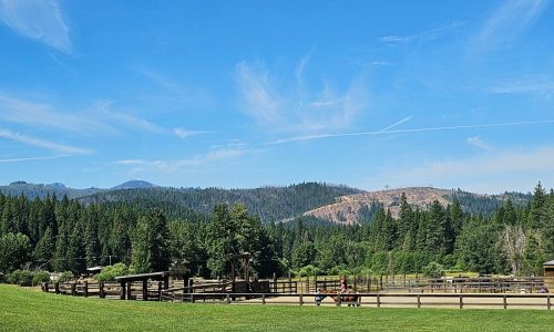 Set out for the ‘Lost Sierras,’ one of California’s most untamed terrains