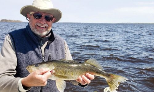 Slight decline in Lake of the Woods walleye catches no cause for concern, DNR says