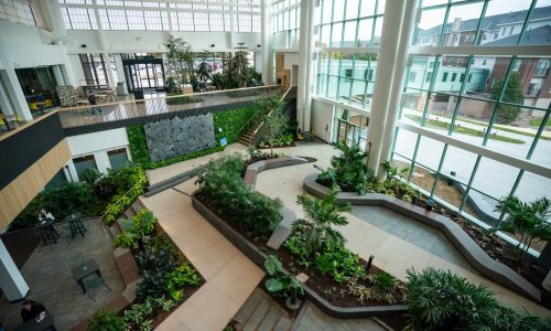 Woodbury Central Park opens with updated playground, garden and accessible features