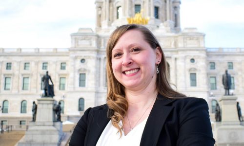 DFL holds on to Senate majority in special elections; GOP holds Wright County seat