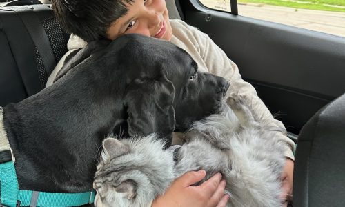 Waiting for a mentor: Zeek