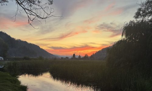 Driving home: A 3,500-mile road trip from Minnesota to Washington offers surprises – and similarities