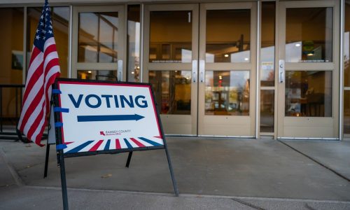 Election results for Ramsey County mayor, city councils, school board races