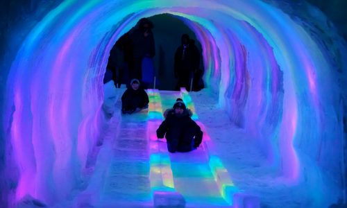 Holiday arts and entertainment: 15 fun family activities to light up the winter season