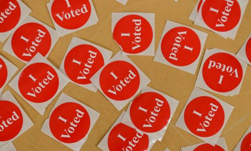 Dakota County election results: Three districts approve levies, elect board members