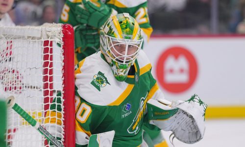 Jesper Wallstedt plays the hero in Wild shootout win