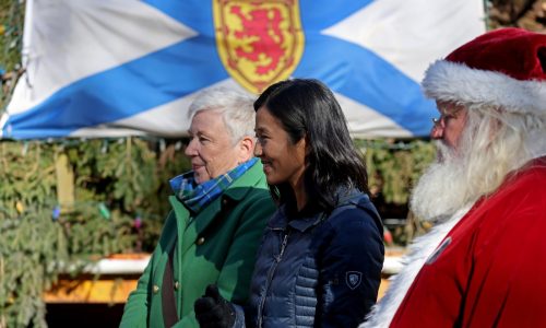 Nova Scotia’s annual Christmas tree gift arrives in Boston Common