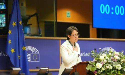 Taiwan Vice President Calls for International Support in Rare EU Address