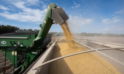 Trump Administration to Announce Aid Package for Farmers Amid China Soybean Deal