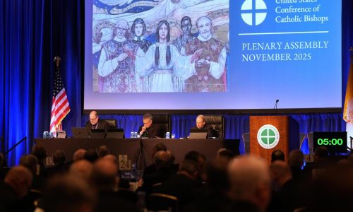 US bishops officially ban gender-affirming care at Catholic hospitals