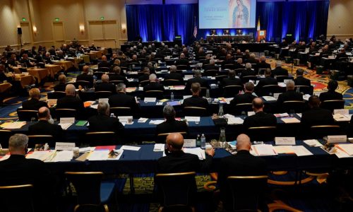 US Catholic bishops will elect a new leader and contend with Trump’s immigration tactics