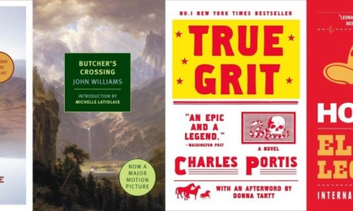 6 novels set in the American West featuring cowboys and complexity