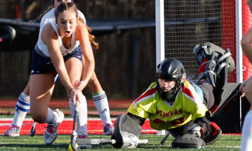 Somerset Berkley shuts out Hingham for repeat title in Div. 2