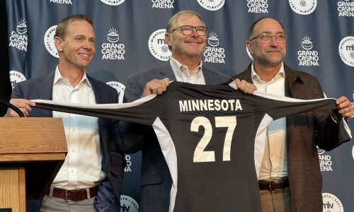 St. Paul will be home to one of two Minnesota pro volleyball leagues